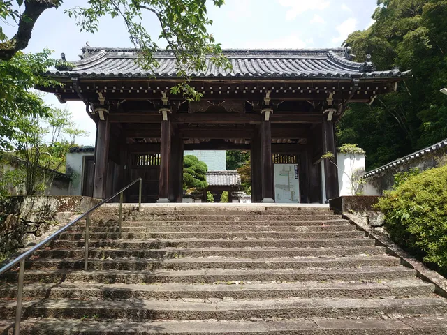 photo-1