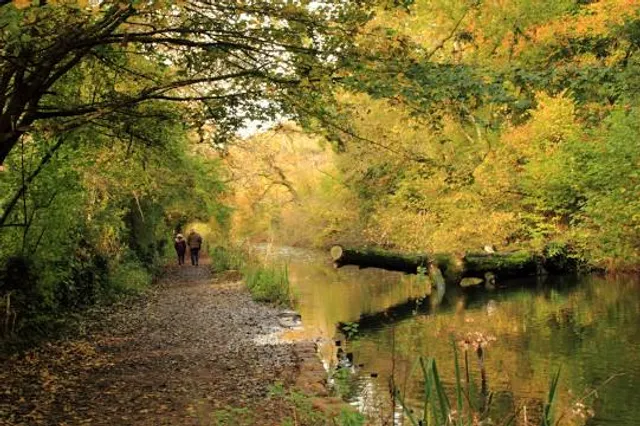 Forest Farm Country Park