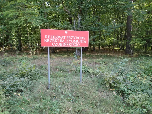 Rezerwat przyrody Brzęki im. Zygmunta Czubińskiego