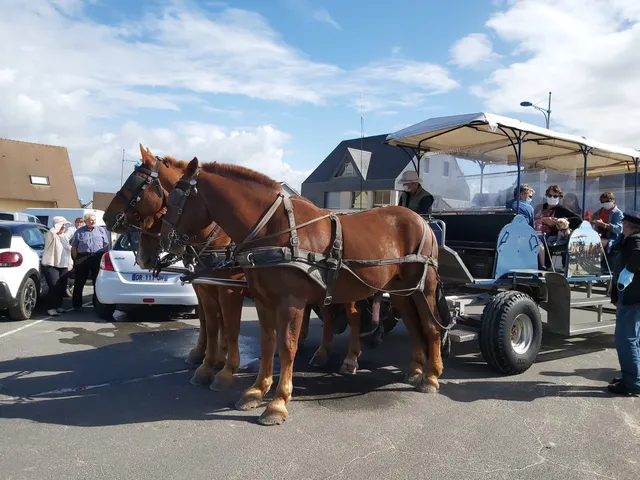 Attelage Des Grandes Marees