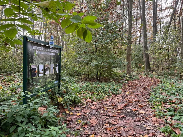 Madárlátta tanösvény