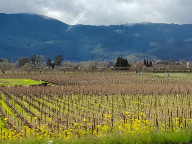 Napa Parks and Recreation