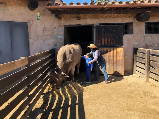 Museu d'Eines del Camp