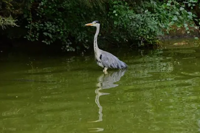 Claytor Lake State Park