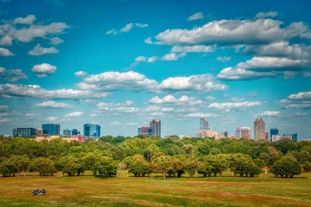 The Grove at Dix Park