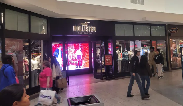 Hollister Co.