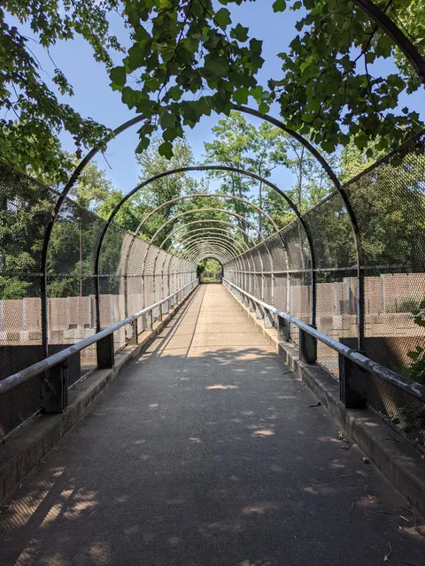 Custis Trail Trailhead