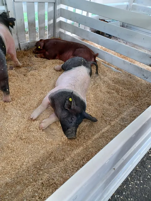 Montgomery County Fair - Main Office