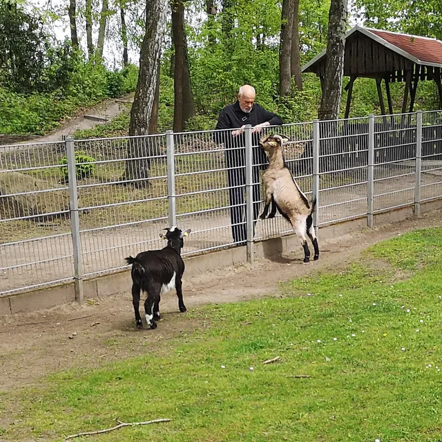 Tiergehege Schmannewitz