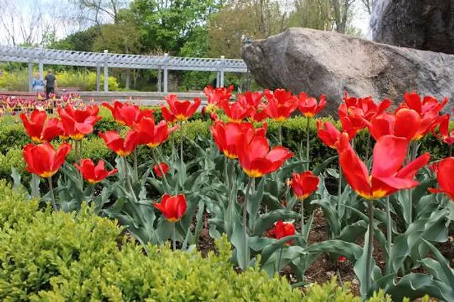 Rosetta McClain Gardens