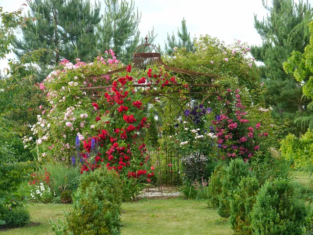 Le Jardin de Mireille en Touraine Angevine