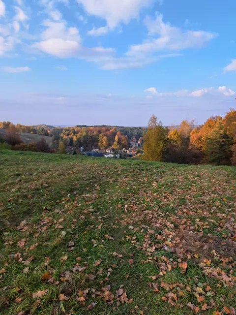 Ribiškių pažintinis takas