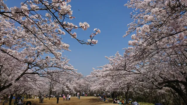 Makigahara Chibikko Zoo