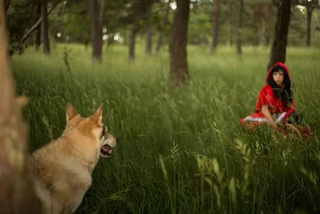 Südliche Fröttmaninger Heide