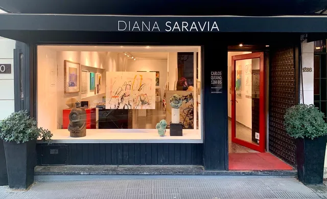 Diana Saravia Gallery