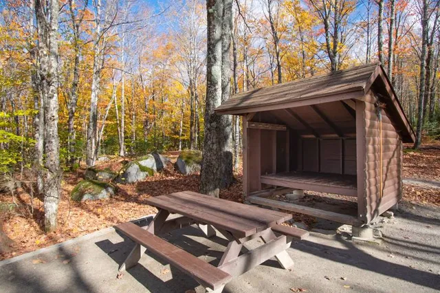 Bass River State Forest