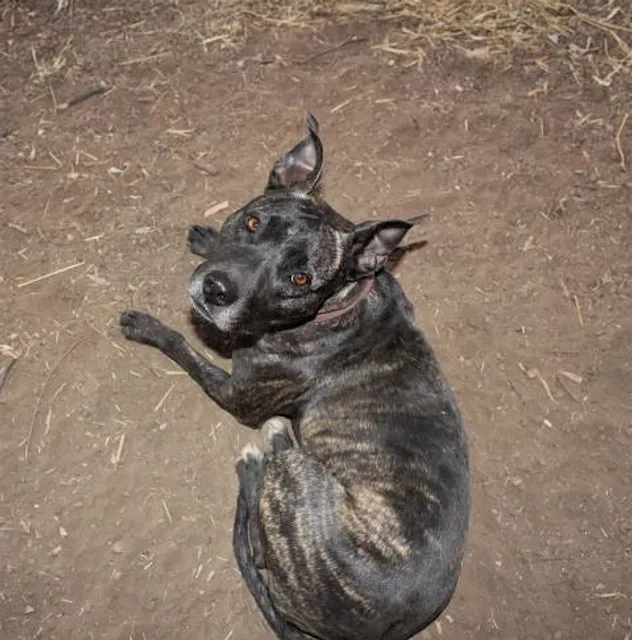 Johnson Woods State Nature Preserve