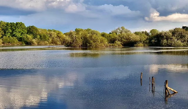 Charvil Country Park
