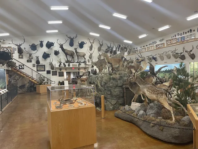 Bryce Wildlife Adventure