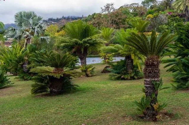 Limbe Botanic Garden