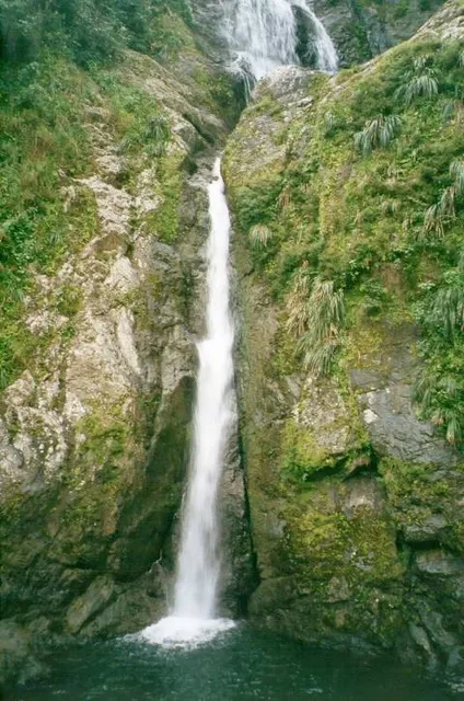 Bosque Estatal Toro Negro