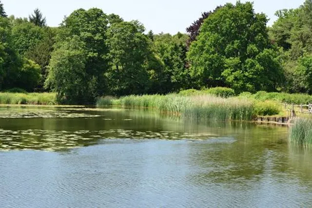 Burton Mill Pond