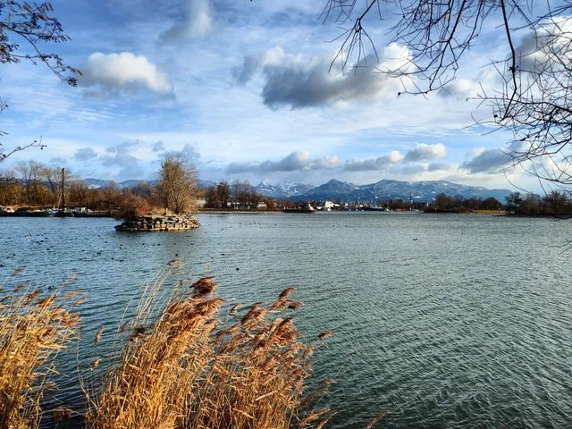 Bregenzerachmündung