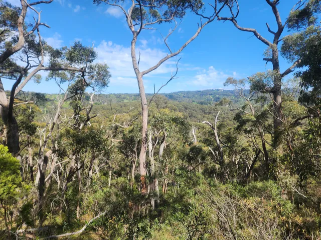 Mount George Conservation Park