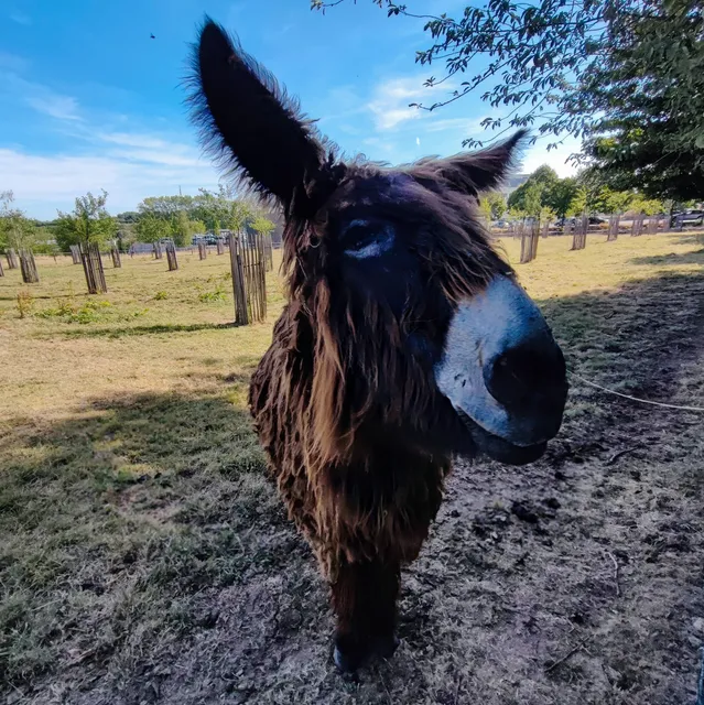 Ferme Du Zoo Maubeuge