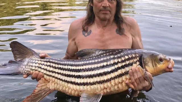 Castaway Fishing Pattaya