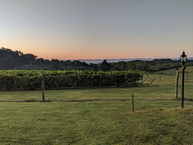 Virginia Mountain Vineyards