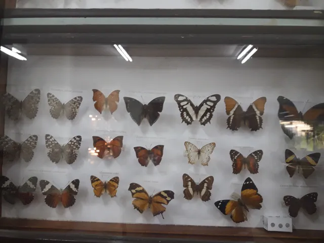 Noel Kempff Mercado Natural History Museum