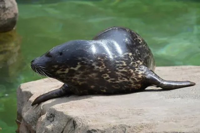 Monumento Natural Saltos de Jima