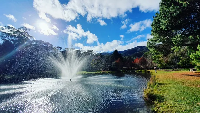 Stony Creek Fish Farm