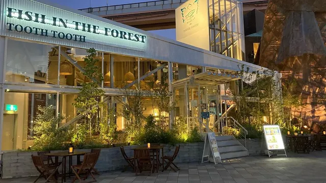 FISH IN THE FOREST TOOTH TOOTH