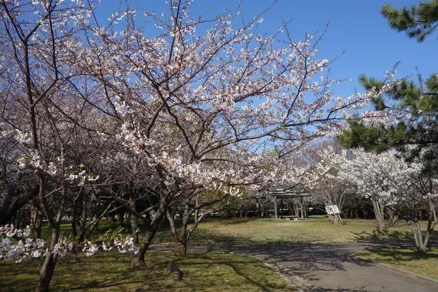Hamadagawa Ryokuchi Park
