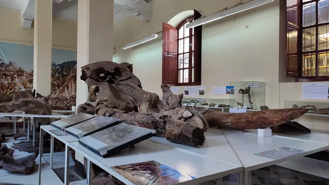 Museo Nacional Paleontológico Arqueológico