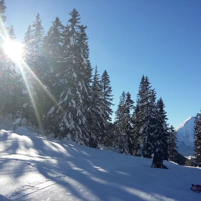 Rodelbahn Hoher Sattel - Start