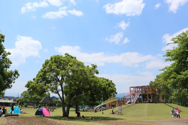 Miyazakiken Nogyo Kagaku Koen Rupinus Park