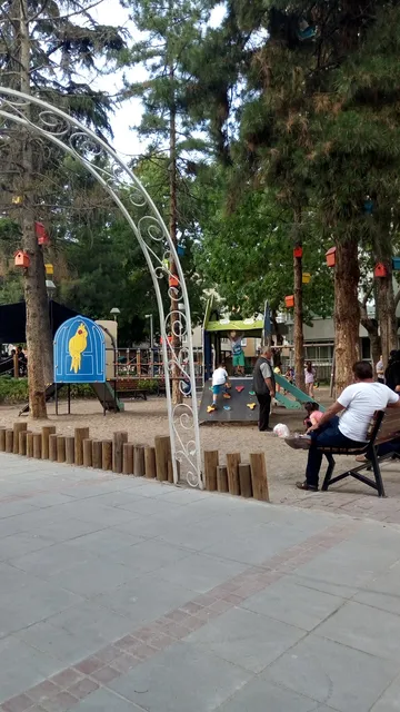 photo-3