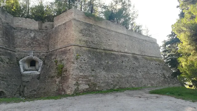 photo-3