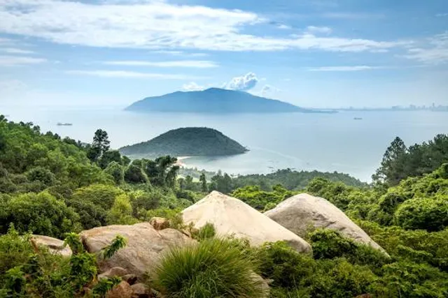 Cây thông Cô đơn