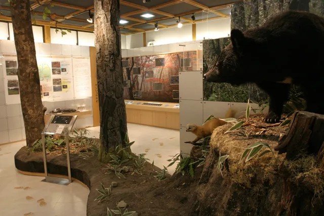 ゲイホクコウゲンノシゼンカン