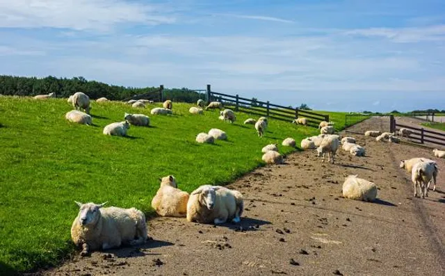 Adventure Golf Park Ottobeuren