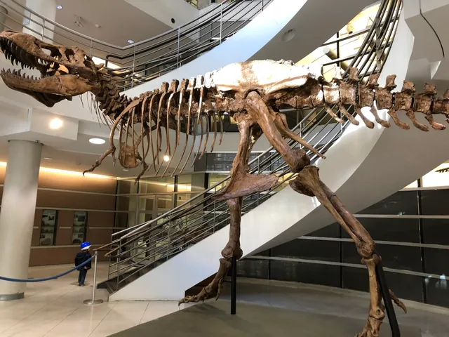 Berkeley Natural History Museums