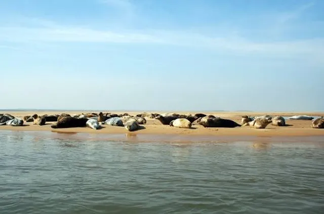 National Trust - Blakeney National Nature Reserve