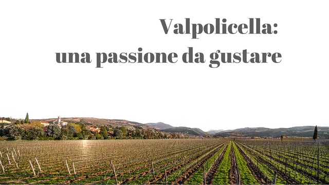 Strada Del Vino Valpolicella