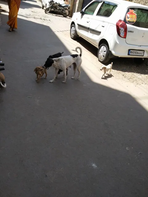 KRUSHNA DAIRY BAKERY AND DHUDHALAY