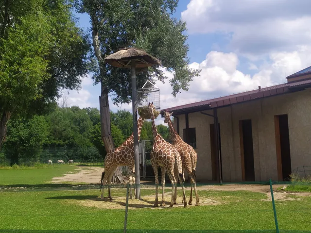 ZOO - Brama boczna lewa