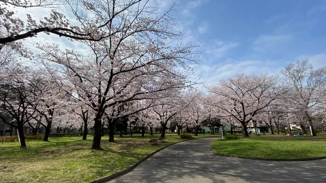 Higashi-Ayase Park
